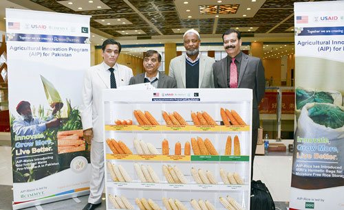 Imtiaz Muhammad, CIMMYT Country Representative, Pakistan, at the AIP-maize component display.