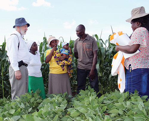 Agricultores explican al Dr. Lumpkin (extrema izquierda) los beneficios de la integración de la agricultura y la ganadería en sus ingresos y seguridad alimentaria, Provincia de Mashonaland, Zimbabwe. Fotos: Johnson Siamachira/CIMMYT 