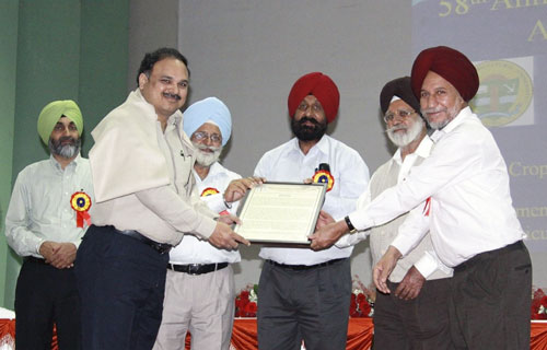 Felicitation of B.M. Prasanna during the 58th All India Coordinated Maize Workshop (from right to left: J.S. Sandhu, A.S. Khehra, Gurbachan Singh, B.S. Dhillon, B.M. Prasanna and H.S. Dhaliwal). Photos: J.S. Chasms.