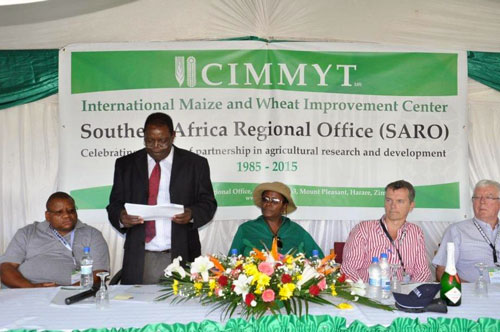 Targeting increasing farm-level food security and productivity to mitigate the effects of climate risk and change: Through the SIMLESA Project, smallholder farmers practice sustainable intensification principles, such as zero or minimum tillage, maize–legume intercropping, and maize–legume rotations. In the photo, Mr. Ringson Chitsiko (standing), Permanent Secretary (PS), Ministry of Agriculture, Mechanisation and Irrigation Development, officially opens CIMMYT–SARO's 30th anniversary celebrations. On  the extreme left is the International Livestock Research Institute’s Representative for Southern Africa, Dr. Sikhalazo Dube. To the PS’s left is the Principal Director in the Department of Research and Specialist Services, Mrs. Denisile Hikwa. Dr. Olaf Erenstein (in striped shirt), Director of CIMMYT’s Socioeconomics Program; and partly in the picture is Dr. Eric Craswell, SIMLESA Project Steering Committee Member.