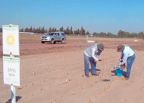 Photo credit: CIMMYT