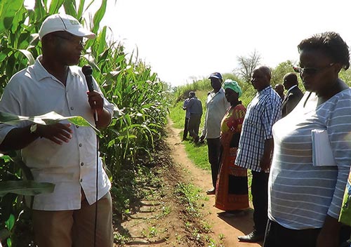 Mphatso Gama explaining how CA works with Principal Secretary ofAgriculture Erica Maganga looking on.