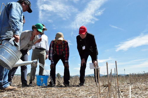 Photo credit: CIMMYT/Alfonso Cortes