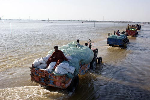 Photo credit: WFP/Amjad Jamal