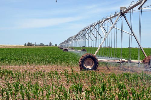 Photo credit: CIMMYT/Alfonso Cortes