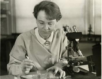 barbara-mcclintock