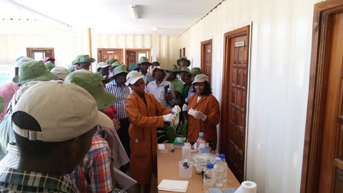 Photo: B. Das/CIMMYT DAS-ELISA_demo_w.jpg