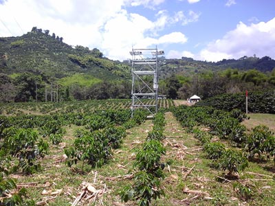 The Eddy Covariance microclimate station in Paraguaycito takes meteorological data needed to predict climate variability. Phots: Claudio Romero Perilla.