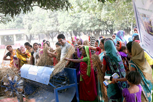 During a pilot program with members of the Kisan Sakhi Group in Muzzafarpur, Bihar, nearly 350 women farmers were trained to operate the diesel engine-powered, open-drum thresher. In this picture, Suryakanta Khandai (center), IRRI postharvest specialist, conducts a demonstration for two women’s self-help groups interested in purchasing four machines next season. Photo: CSISA