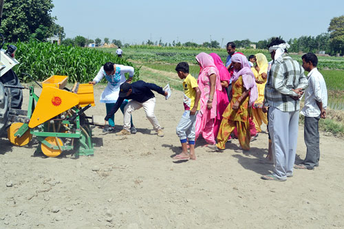 Direct sowing of rice (DSR) in Unchasaman village, Haryana. Photo: CIMMYT