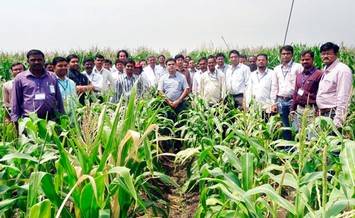 Foto de grupo de los participantes del curso. Foto: H Malatesh Kumar/CIMMYT-Hyderabad