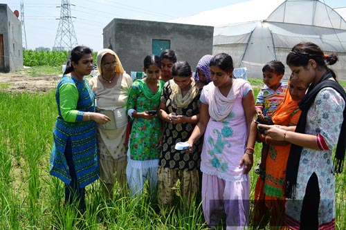 Trainees learn to use the GreenSeeker application on their cell phones, which used to be simple devices that could only send or receive calls and text messages.