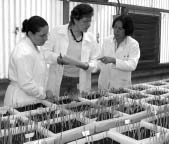 inspeccion