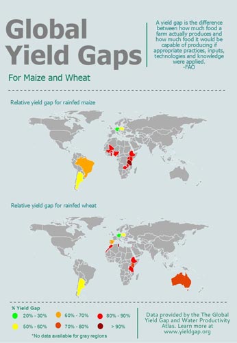 Global-Yield-Gaps-for-Maize-and-Wheat1