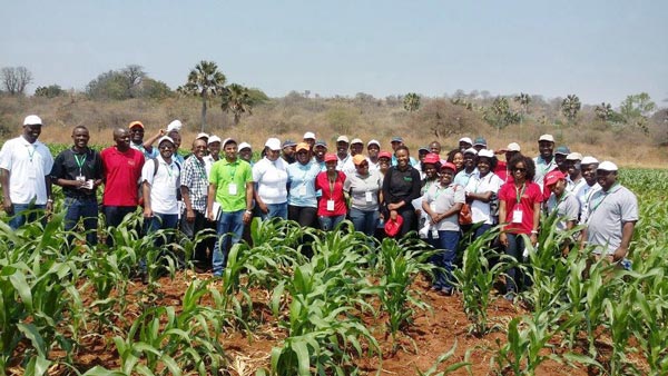 Participantes del curso de mejoramiento de maíz en Zambia. Foto: Cosmos Magorokosho/CIMMYT