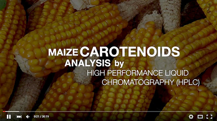 Want to learn more about carotenoid analysis? View the tutorial video in English here. For Spanish tutorials, view the lysine and tryptophan analysis videos.