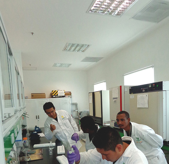 From L-R: CIMMYT-EIAR collaboration with Aldo Rosales, Legesse Shiferaw, Irving Rosas, and Girmay Tsegay, February 2015. Photo courtesy of Aldo Rosales.