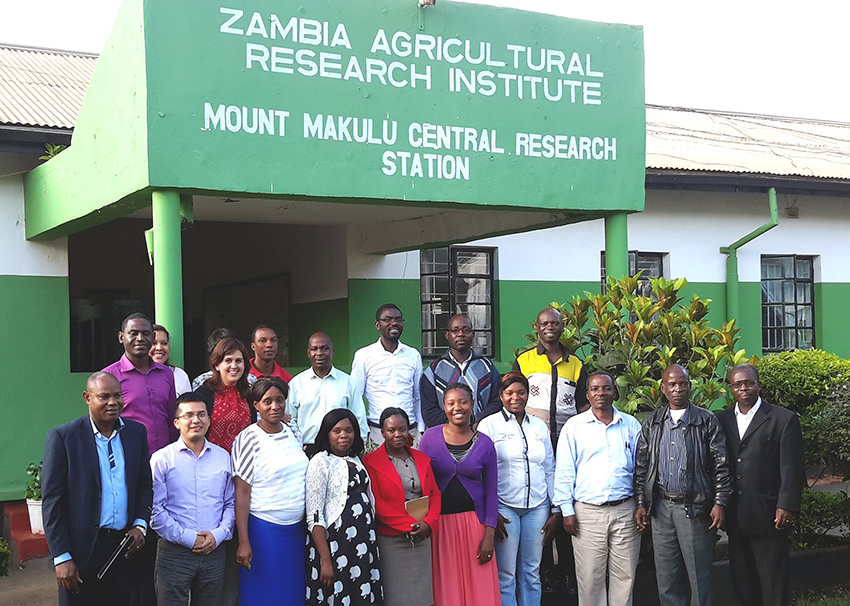Participants in carotenoid training at ZARI, March 2015. Photo courtesy of Natalia Palacios.