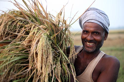 Srikanth Kolari/CIMMYT