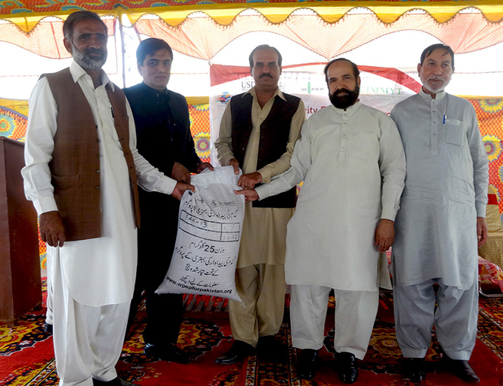 Wheat seed distribution in Nankana-Sahib, Punjab province. Photo: Monsif ur Rehman/CIMMYT Pakistan 