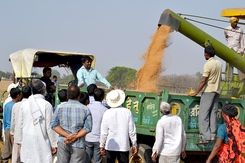 In eastern India, CSISA increased adoption of early sowing of wheat and zero tillage by demonstrating the benefits in farmers’ fields. Photo: Vinaynath Reddy.