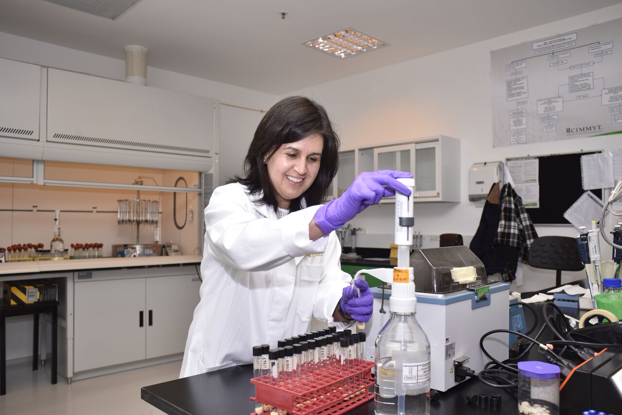 CIMMYT scientist Natalia Palacios pinpoints discrimination as the main hurdle to gender balance in science. Photographer: Alfonso Cortés Arredondo/ CIMMYT