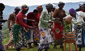 Actors celebrating a fruitful harvest thanks to drought-tolerant maize. Photo: Brenda Wawa/CIMMYT