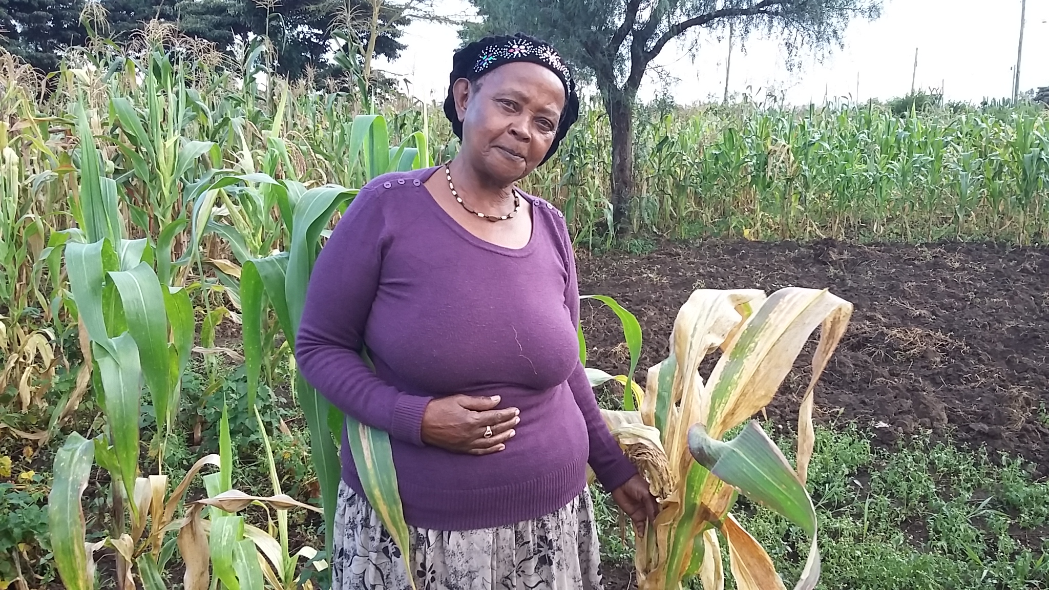 Purity has journeyed with women farmers in her village for last three years helping them access land to plant food for their families. Photo: B.Wawa/CIMMYT.