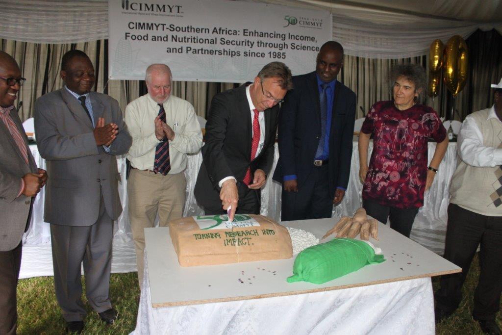 CIMMYT Director General Martin Kropff celebrating 50 years of CIMMYT at the organization’s Southern Africa Regional Office. Photo: Johnson Siamachira/CIMMYT.