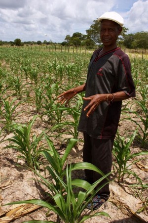 A farmer in Zimbabwe explains his challenges with drought and low soil fertility. Photo: Michael Listman