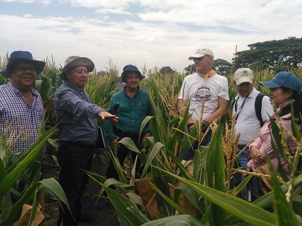 CIAT field day. Photo Marleni Rosero, communications specialist at HarvestPlus-CIAT.