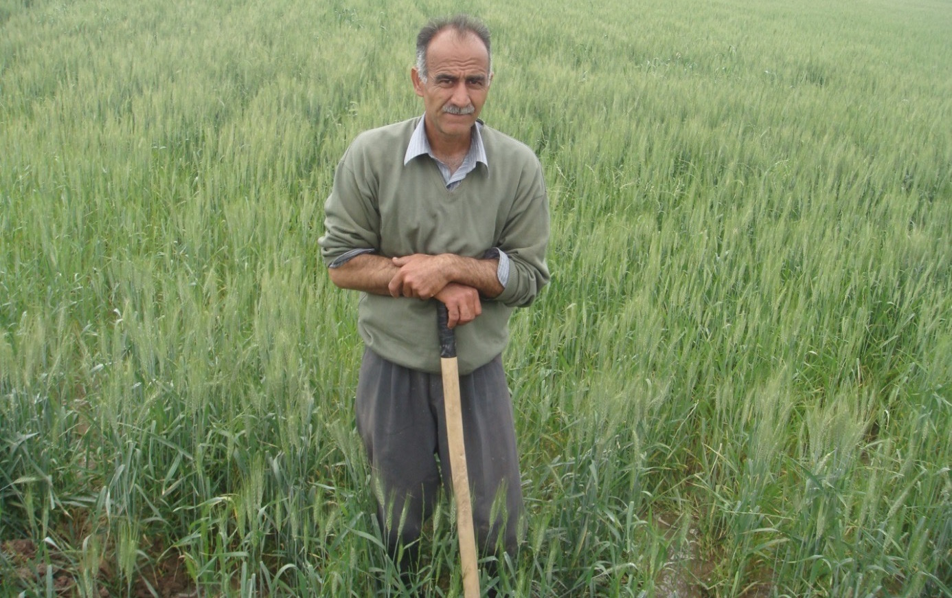 Water shortages and decade long drought are mobilizing Iran find new approaches to agriculture. Photo: M.E. Asadi