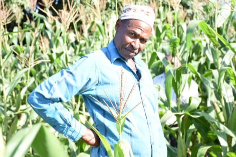 “Visits from Mponda helped me realize that good farm practices are necessary for any kind of crop to flourish,” Michael Kumbere shares, adding, “I made sure to invest in fertilizer for Lubango, and I can already see that the yield benefits would outweigh any costs I incur.”