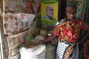 New hybrid helps farmers beat drought in Tanzania. With seed of a maize hybrid developed by the Drought Tolerant Maize for Africa (DTMA) project and marketed by the company Meru Agro Tours and Consultant Limited, Valeria Pantaleo, a 47-year-old farmer and mother of four from Olkalili village, northern Tanzania, harvested enough grain from a 0.5-hectare plot in 2015 to feed her family and, with the surplus, to purchase an ox calf for plowing, despite the very poor rains that season. “I got so much harvest and yet I planted this seed very late and with no fertilizer,” said Pantaleo, who was happy and surprised. “I finally managed to buy a calf to replace my two oxen that died at the beginning of the year due to a strange disease.” In 2015 Meru Agro sold 427 tons of seed of the hybrid, HB513, known locally as “ngamia,” Kiswahili for “camel,” in recognition of its resilience under dry conditions. The company plans to put more than 1,000 tons of seed on the market in 2016. Photo: Brenda Wawa/CIMMYT