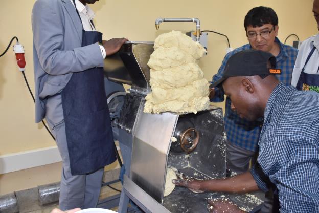 A milling machine for preparing nixtamalized maize dough was presented to KALRO through the Mexican Embassy. Photo: B. Wawa/CIMMYT
