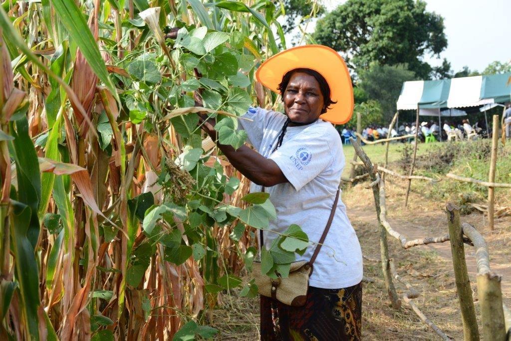 Angeline Odero in her maize–legume plot. The use of herbicides has reduced her cost of weeding from $160 per hectare using hired labor, to less than $60 per hectare. Photo credit: CIMMYT/Johnson Siamachira
