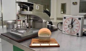 The honorary trophy of the International Gluten Workshop is shown in the wheat quality laboratory at the International Maize and Wheat Improvement Center (CIMMYT). The 13th workshop, which occurs every three years, will be hosted by CIMMYT in Mexico City in 2018. CIMMYT/Alfonso Cortez