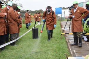 Participants see a demonstration of artificial inoculation at MLN screening site. photo K. Kaimenyi /CIMMYT