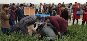 Chaosu explains the operation and results of the Chinese-made Turbo Happy Seeder to an enthusiastic group of researchers and farmers at a conservation agriculture demonstration site near Santai, Mianyang, Sichuan Province. Photo: Jack McHugh/ CIMMYT 