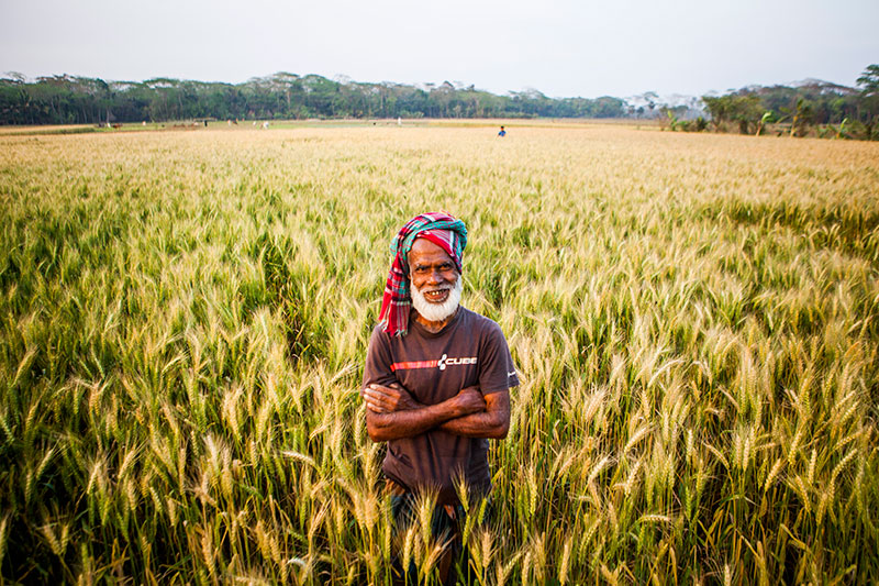 Farmer-surrounded-by-wheat