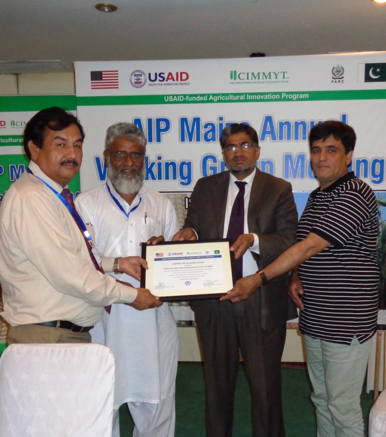 NARC’s maize team receiving a certificate of appreciation. Photo: M. Waheed Anwar/CIMMYT