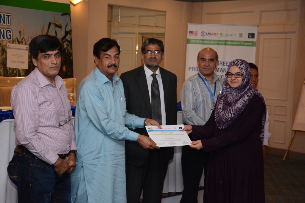 Rabia Akram receiving her certificate for successfully attending the training course. Photo: Awais Yaqub/CIMMYT