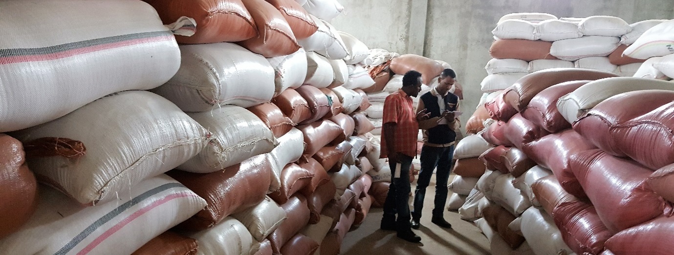 Stocks of maize seed have been certified for quality and are now ready to be distributed to farmers in Ethiopia's drought-affected districts. Photo: Tadele Asfaw/CIMMYT