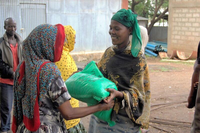 Seed is being distributed to 240 drought-affected farmers in the kebele of Ubobracha. Photo: E. Quilligan/CIMMYT