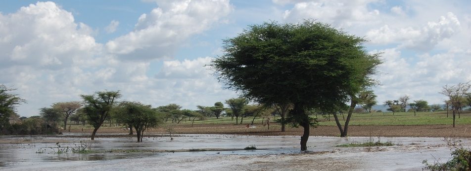 In contrast to normal rain patterns, heavy rainfall fell in central Ethiopia in early May, between the usual short (March-April) and main (June-September) rainy seasons.