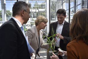 Bill & Melinda Gates Foundation CEO Susan Desmond-Hellmann toured CIMMYT headquarters in Mexico. Photo: Alfonso Cortes/ CIMMYT 