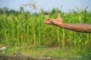 New innovations will improve farming productivity said DuPont Pioneer President Schickler. Photo: CIMMYT/ Peter Lowe