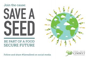 cimmyt-saveaseed