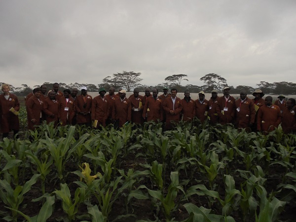 Students from the Africa Plant Breeding Academy during a visit at the MLN screening facility in Naivasha, Kenya. Credit: CIMMYT