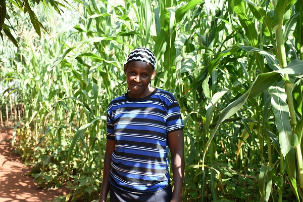 āI learned about intercropping from an extension agent and decided to try it out on a small plot, before planting in the larger plot,ā Hellen Owino shares, adding, āI think Iām now ready to plant on the larger piece of land. Even though some Striga plants emerge, Iām able to weed them out before they flower, and my yield is not severely affected.ā Photo: K. Kaimenyi/CIMMYT
